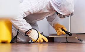 Best Pest Prevention Services  in Old Stine, CA